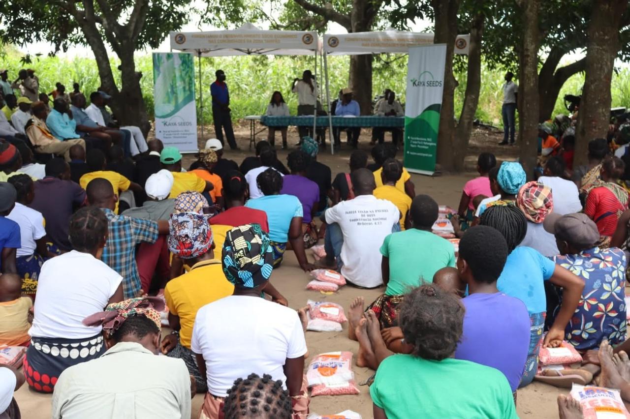 Gorongosa distribui 20 toneladas de sementes a afectados pelas cheias